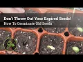 Don t Throw Out Your Expired Seeds How to Germinate Old Seeds