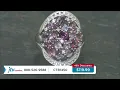 Lujos Economicos Explora los Preciosos Colores de la Espinela