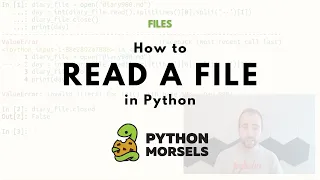 Read from a file in Python