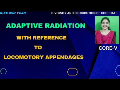 Download MP3 Adaptive Radiation With Reference To Locomotory Appendages B.Sc 2nd Year||#AdaptiveRadiation#mammals