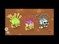 normal rare and epic reedling