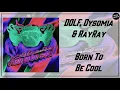 Download Lagu DOLF, Dysomia \u0026 RayRay - Born To Be Cool