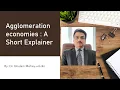 What are the Agglomeration Economies An Explainer