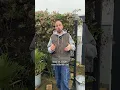 Download Lagu Intratuin - PlantEHBO - Creëer een groene tuin vol bloemen en biodiversiteit