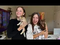 Get New Kitties With Us