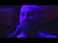 Eddy Current Suppression Ring @ Fremantle Buffalo Club (Full Set)