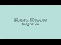 Download Lagu Shawn Mendes - Imagination 1 HOUR