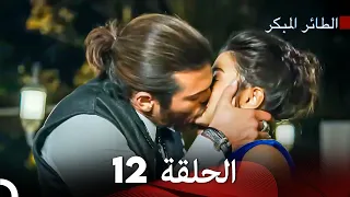 Arabic Dubbed Large Version 12 النسخة الطويلة الحلقة 