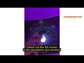 Review HONEST Blow Torch Sleek Adjustable Butane Torch Cooking Torch Lighter Camping Home Use Weldin