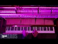 Transformation Concert Highlights - Live Piano | Arelius