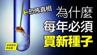 明明春天可以種，但為什麼農民每年都必須買新種子？這背後的真相很恐怖……|自說自話的總裁