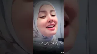 فهي هي و هي هي ثم هي هي و هي و هي 