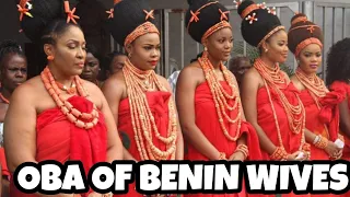 oba of benin beautiful wives meet oba of benin wives