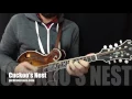 Cuckoo's Nest: Mandolin