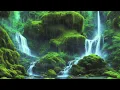 Ólafur Arnalds live from Hafursey