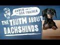 The Truth About Dachshunds - The Jaded Dog Trainer
