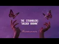 Download Lagu The Stranglers •• Golden Brown (Sub español-inglés)