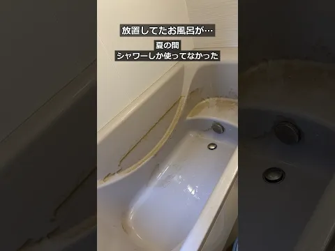【シルバーウィーク空いてます！】ネコの手も借りたい！貴方の為の家事代行サービス
