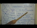 Transmission Electron Microscopy TEM Principle Basics