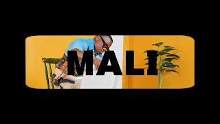 Dlala Thukzin Zee Nxumalo Mali Feat Sykes Official Music Video 