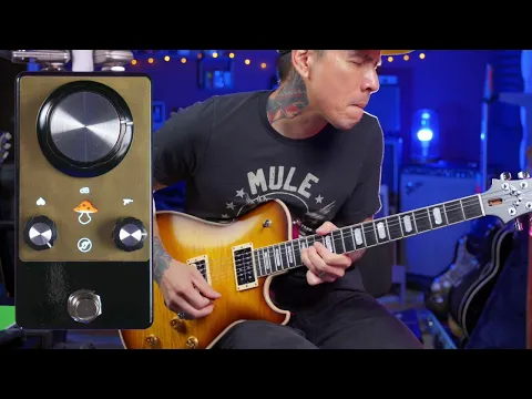 Fjord Fuzz Berserk V2 | Delicious Audio