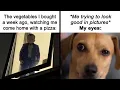Hilarious Memes That Will Make You Forget Your Stress HahaHub