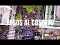 Pasos al Costado - Turf (En Vivo) | Día del Trabajador en OLGA