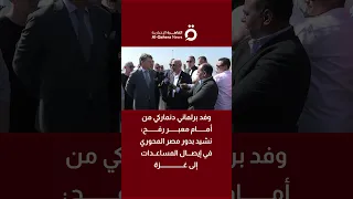 وفد برلماني دنماركي من أمام معبر رفح نشيد بدور مصر المحوري في إيصال المساعدات إلى غزة 