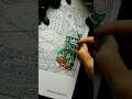 Johanna Basford s Rooms of Wonder coloring book - WIP