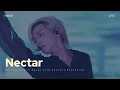 Download Lagu WayV 威神V 'Nectar' @2024 ON THE WAY in Japan