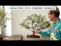 Creating Fuji Cherry Bonsai