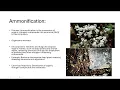Nitrogen Cycle Nutrient Cycling Biology Unit 2