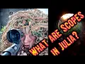 Scopes Local and Global Variable Scopes in Julia Julia Scopes Chapter 13