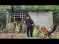 Download Lagu A new life in an abandoned house in the middle of the rainforest for an infertile woman