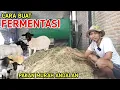 Download Lagu CARA MEMBUAT FERMENTASI PAKAN TERNAK ANDALAN PALING MUDAH