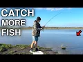 Lagu How To Catch Tons of Fish! (Simple Beginner’s Technique)