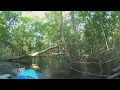 Caught On Camera Alligator Attacks Kayaker