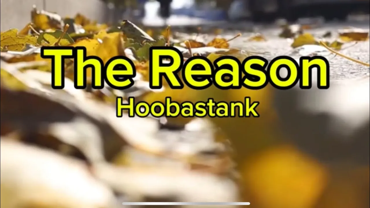 THE REASON  by hoobastank |karaoke duet with Tony