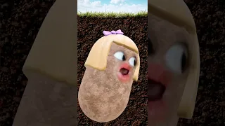 بابا تليفون قولو مو هون Shorts 