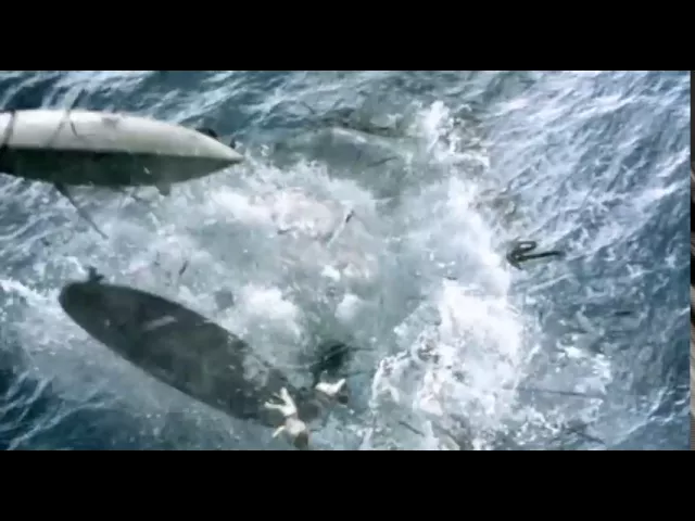 Moby Dick (2010) Trailer
