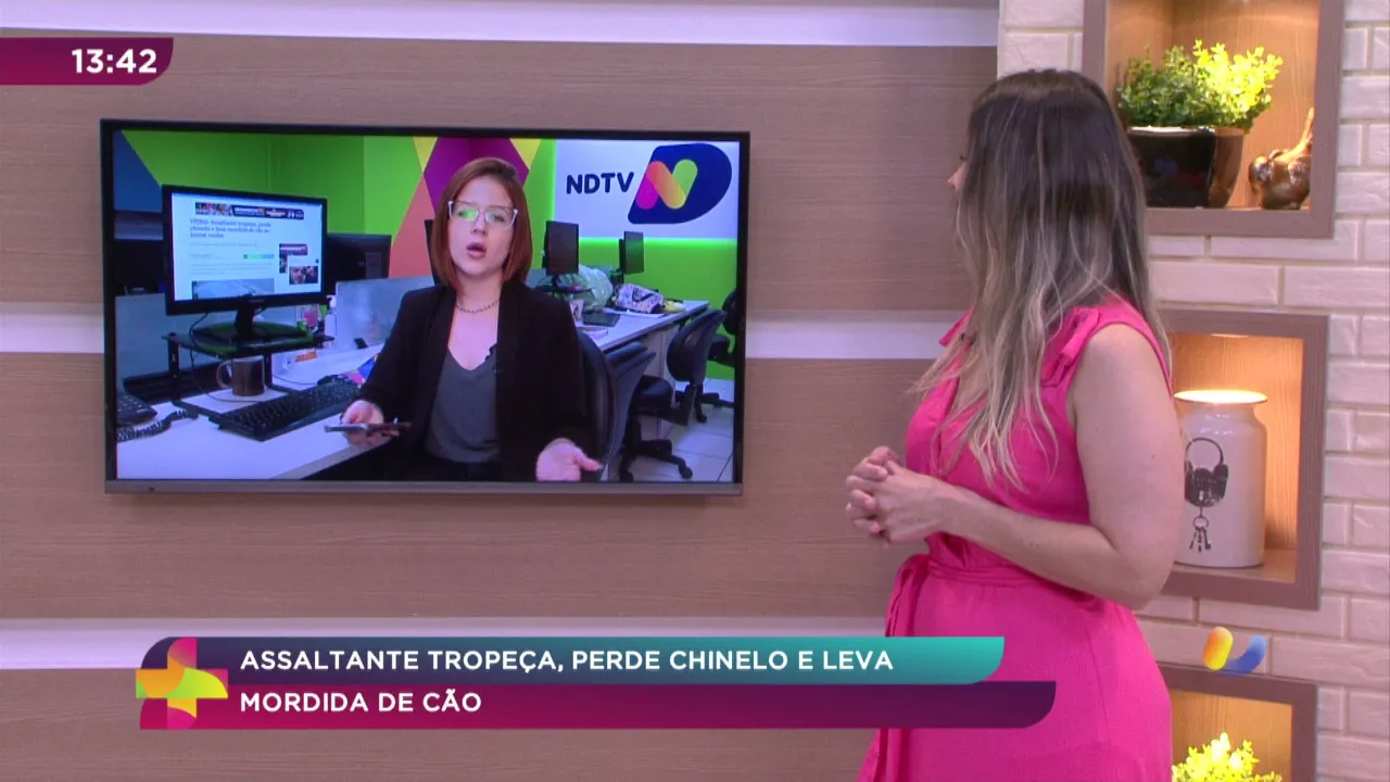 Assaltante tropeça, perde chinelo e leva mordida de cão