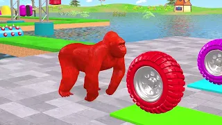 Can a Hippo Beat a Tiger on the Big Water Slide?