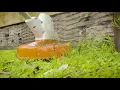 STIHL FSA 57 Battery Trimmer