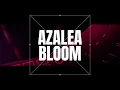 AZALEA BLOOM 2nd Album『blu✦red』クロスフェード