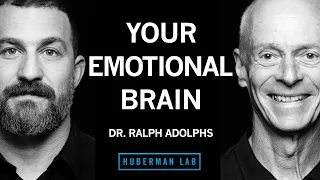 Neuroscience of Emotions & Tools for Improving Emotion Regulation| Dr. Ralph Adolphs