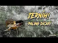 Download Lagu Masteran jangkrik alam jernih, jeda rapat | Cocok untuk masteran burung dan mengusir tikus
