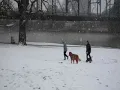 Waco s winter wonderland Snow blankets city on Jan 10 2021