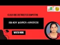 SR-IOV and Open vSwitch Cloud and Distributed Computing SNS Institutions