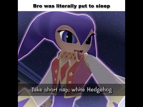 Sonic Meets NiGHTS #sonic #memes
