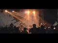 Download Lagu KILLED (Killed by Butterfly) - Gold Fang at HAI Day 2017